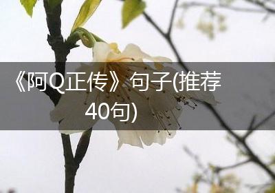 《阿Q正传》句子(推荐40句)