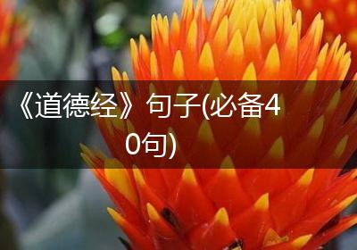 《道德经》句子(必备40句)