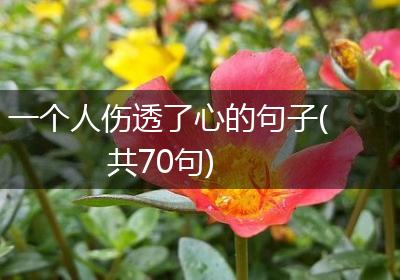 一个人伤透了心的句子(共70句)