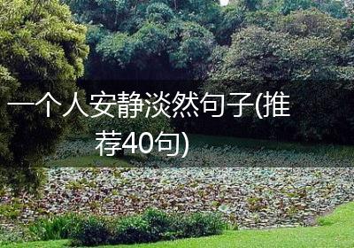 一个人安静淡然句子(推荐40句)