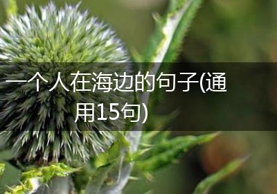 一个人在海边的句子(通用15句)