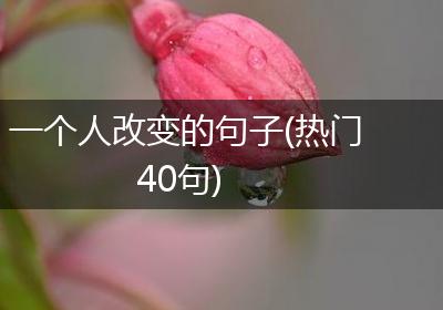 一个人改变的句子(热门40句)