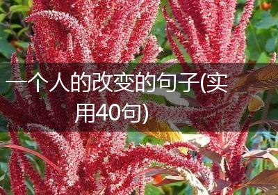一个人的改变的句子(实用40句)
