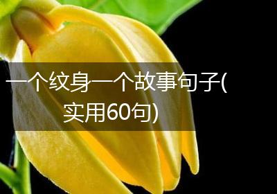 一个纹身一个故事句子(实用60句)