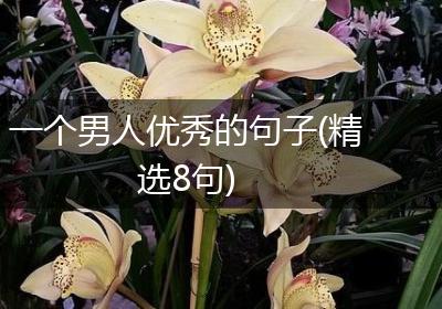 一个男人优秀的句子(精选8句)