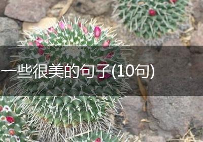一些很美的句子(10句)