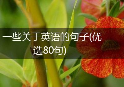 一些关于英语的句子(优选80句)