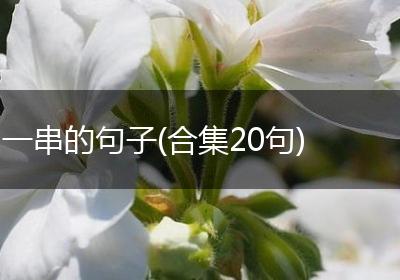 一串的句子(合集20句)