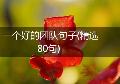 一个好的团队句子(精选80句)