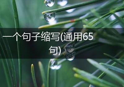 一个句子缩写(通用65句)