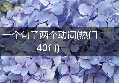 一个句子两个动词(热门40句)