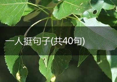一人挺句子(共40句)