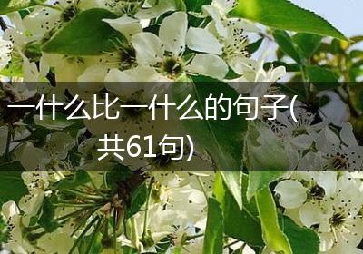 一什么比一什么的句子(共61句)