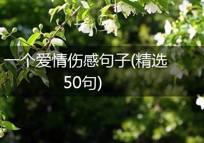 一个爱情伤感句子(精选50句)