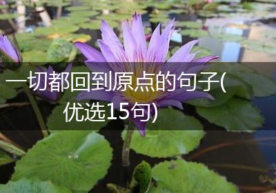 一切都回到原点的句子(优选15句)
