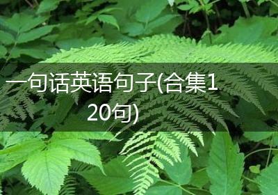 一句话英语句子(合集120句)