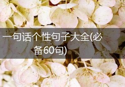 一句话个性句子大全(必备60句)