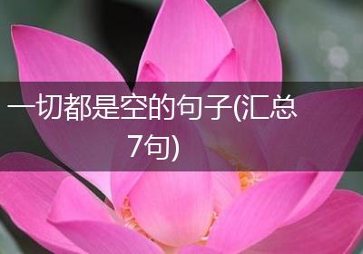 一切都是空的句子(汇总7句)
