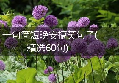 一句简短晚安搞笑句子(精选60句)