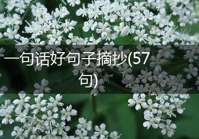 一句话好句子摘抄(57句)