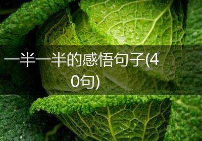 一半一半的感悟句子(40句)