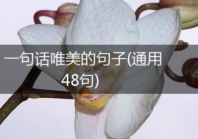 一句话唯美的句子(通用48句)