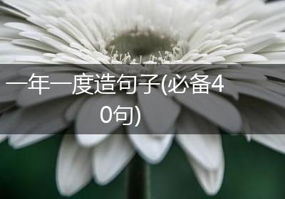 一年一度造句子(必备40句)
