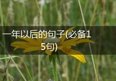 一年以后的句子(必备15句)