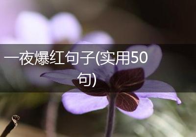 一夜爆红句子(实用50句)