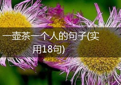 一壶茶一个人的句子(实用18句)