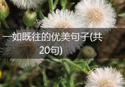 一如既往的优美句子(共20句)