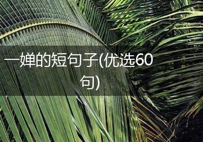 一婵的短句子(优选60句)