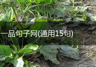 一品句子网(通用15句)