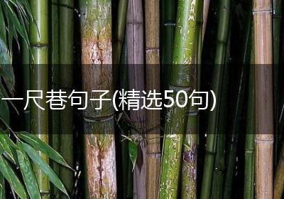 一尺巷句子(精选50句)