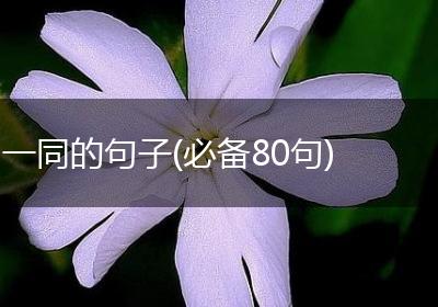 一同的句子(必备80句)