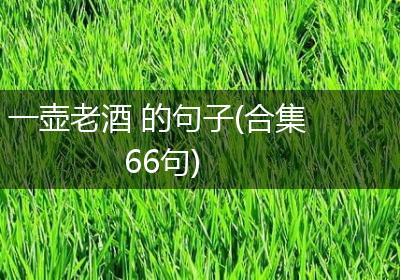 一壶老酒 的句子(合集66句)