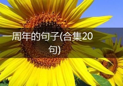 一周年的句子(合集20句)