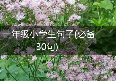 一年级小学生句子(必备30句)