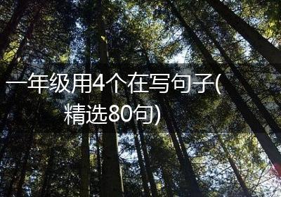一年级用4个在写句子(精选80句)