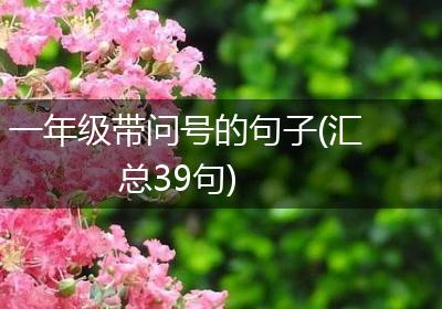一年级带问号的句子(汇总39句)