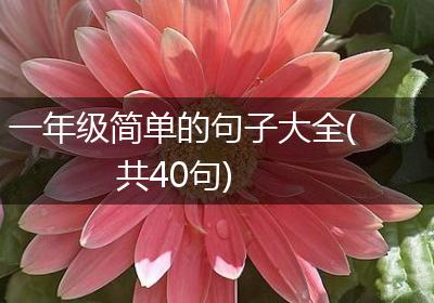 一年级简单的句子大全(共40句)