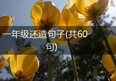 一年级还造句子(共60句)