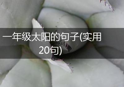 一年级太阳的句子(实用20句)