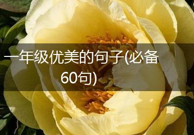 一年级优美的句子(必备60句)