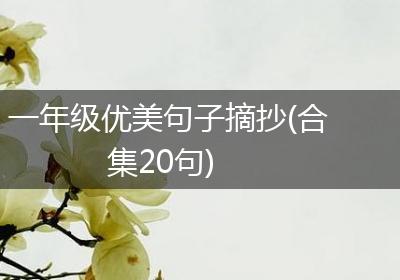 一年级优美句子摘抄(合集20句)