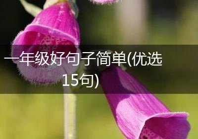 一年级好句子简单(优选15句)