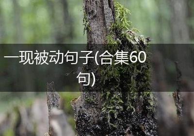 一现被动句子(合集60句)