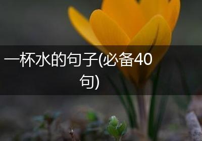 一杯水的句子(必备40句)