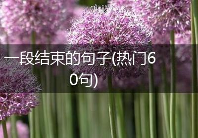 一段结束的句子(热门60句)