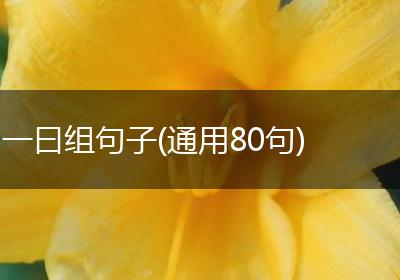 一曰组句子(通用80句)